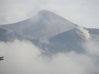 img (83)
